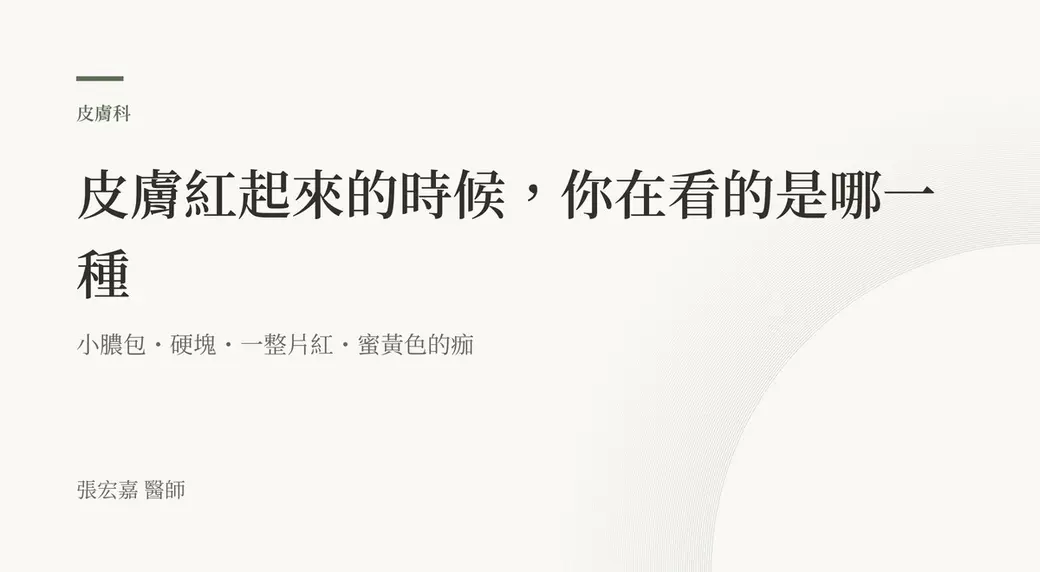 排版式封面，主標「皮膚紅起來的時候，你在看的是哪一種」，底下依序畫出小膿包、一顆硬塊、一整片紅、蜜黃色的痂皮四種樣子