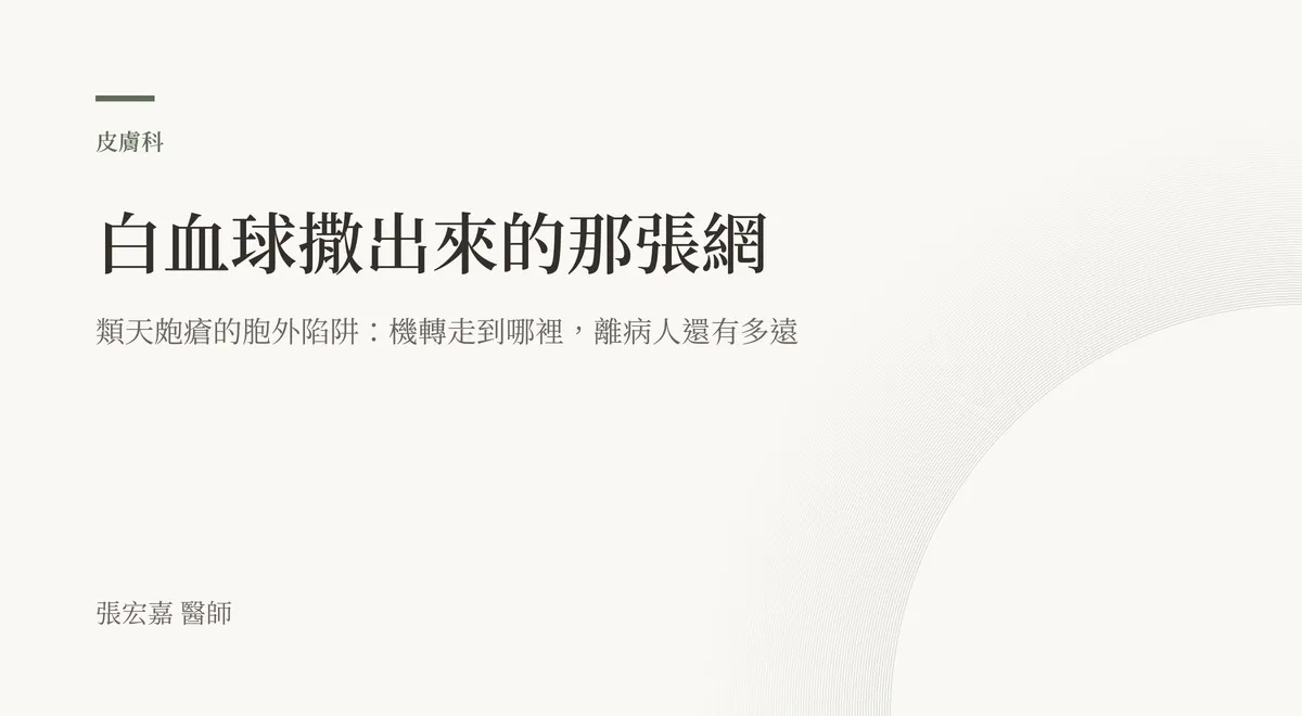 排版式文字圖，米白底色，左上角有綠色短線與「皮膚科」分類標示，主標「白血球撒出來的那張網」，副標「類天皰瘡的胞外陷阱：機轉走到哪裡，離病人還有多遠」，右下角一道很淡的弧線，左下角署名張宏嘉醫師