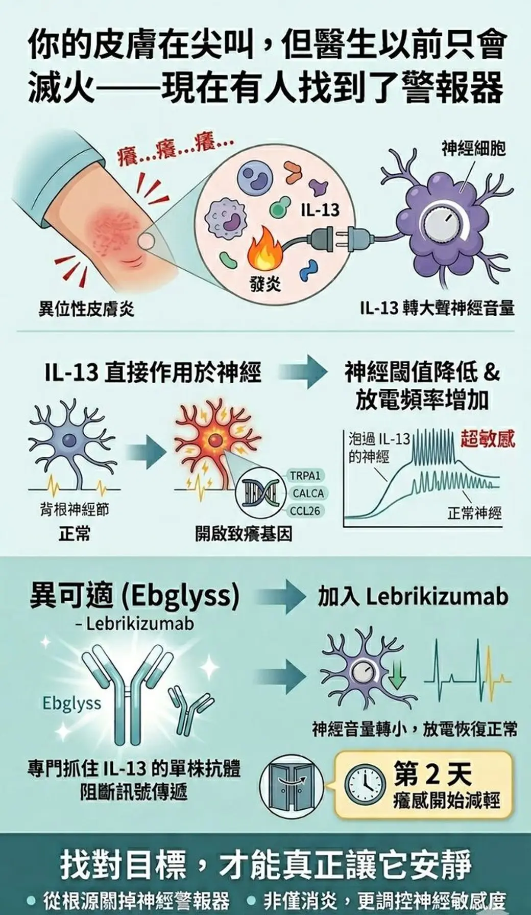 自製衛教圖卡，分成三段：上段畫出發炎訊號放大神經音量，中段是背根神經節從正常變成開啟致癢基因後的放電曲線，下段是單株抗體阻斷訊號傳遞的示意。