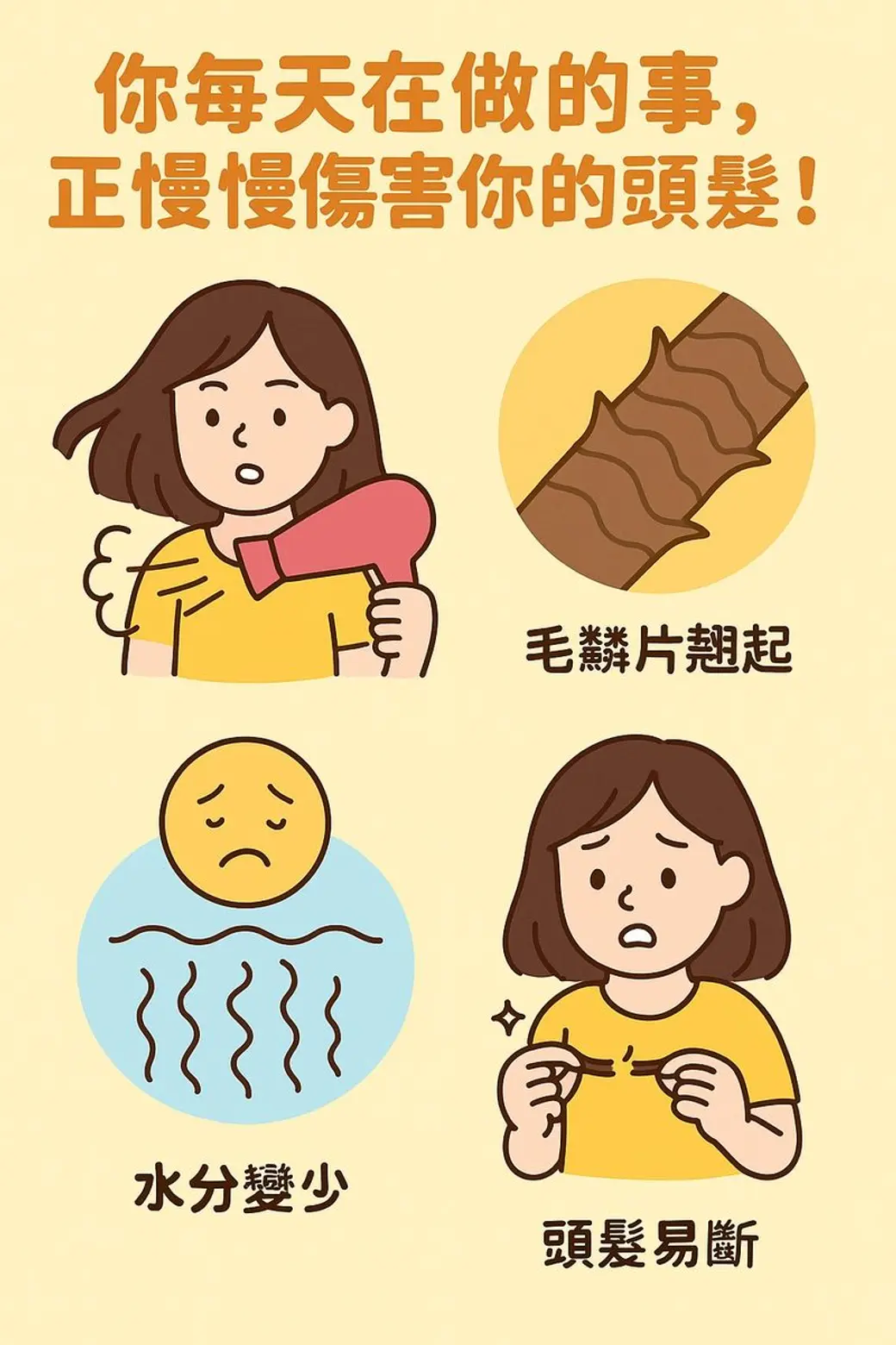 衛教圖卡，淡黃底，四格插畫分別畫出吹頭髮的女性、翹起的毛鱗片特寫、水分變少的圖示，以及拉斷髮絲的女性。