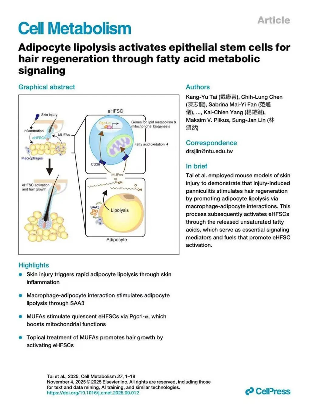 期刊圖文摘要頁，Cell Metabolism 的文章首頁，左側是脂肪分解活化上皮幹細胞的示意圖，右側是作者名單與四點重點條列。