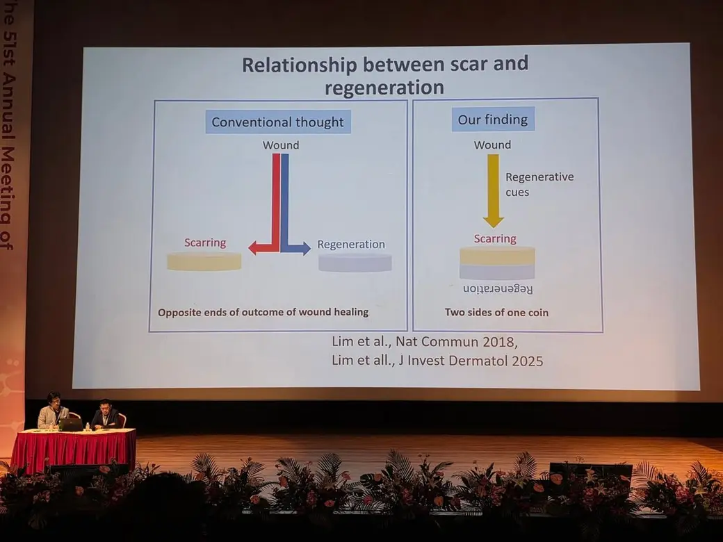 會場照片，舞台大螢幕上的投影片標題為 Relationship between scar and regeneration，左右兩欄比較傳統觀點與新發現，下方標註文獻出處，台下前排坐著與談人。