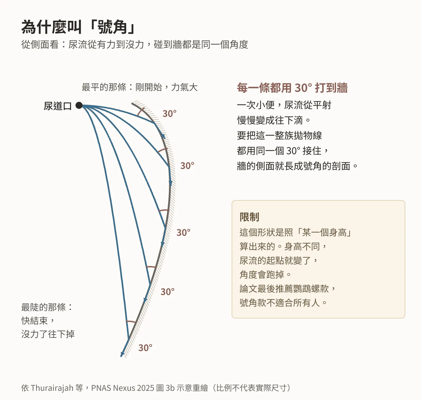 側視示意圖：從左上方一個點（尿道口）射出五條由平到陡的虛線拋物線，代表尿流從剛開始射得遠、到最後幾乎直直落下。一條紅色實線由上往下彎，形狀像號角的剖面，切過每一條拋物線，每個交點標著同樣的 30 度角。下方小圖是這條線繞中軸轉一圈之後，號角形小便斗的外形。