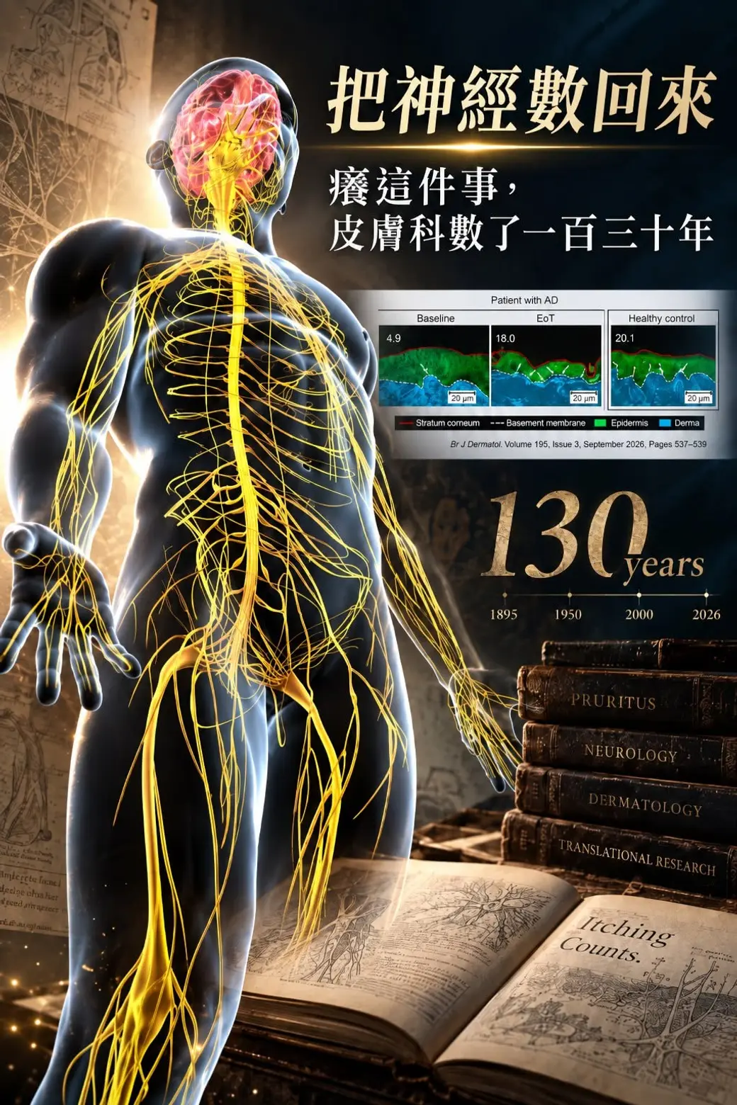 表皮內神經纖維密度：治療前 4.9、十六週後 18.0、健康對照 20.1（Br J Dermatol 2026;195(3):537–539）。
