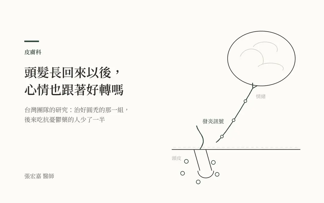 手繪插圖，左邊是頭皮和一根毛囊，一條線從毛囊往上連到腦，線上標著三個發炎訊號的名字。