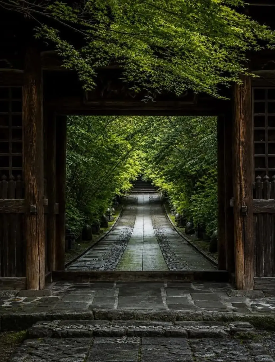 一道門之後，還有一條被雨打濕、往前延伸的路。