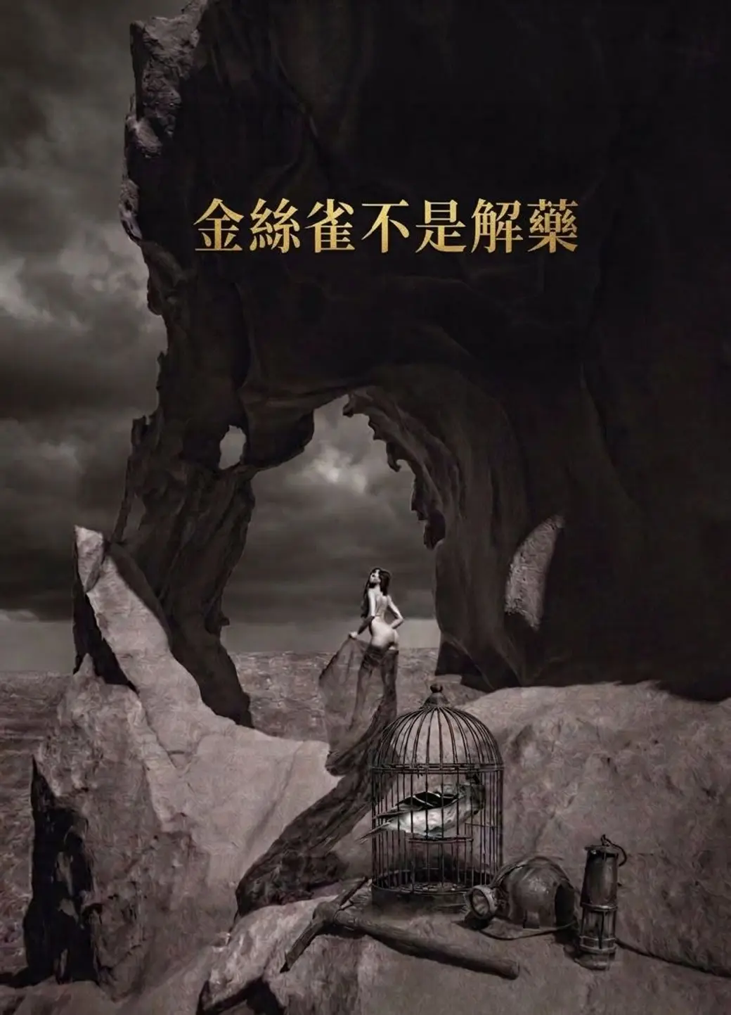 暗色調的超現實影像，岩壁下放著一只鳥籠與礦工提燈，上方寫著「金絲雀不是解藥」。