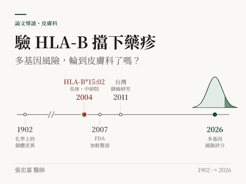 排版式封面：標題「驗 HLA-B 擋下藥疹」，下方一條從 1902 年到 2026 年的時間軸，依序標出 1902 年化學上的個體差異、2004 年長庚與中研院發現的 HLA-B*15:02、2007 年 FDA 加框警語、2011 年台灣篩檢研究，末端 2026 年是一條右尾上色的鐘形曲線，代表多基因風險評分。