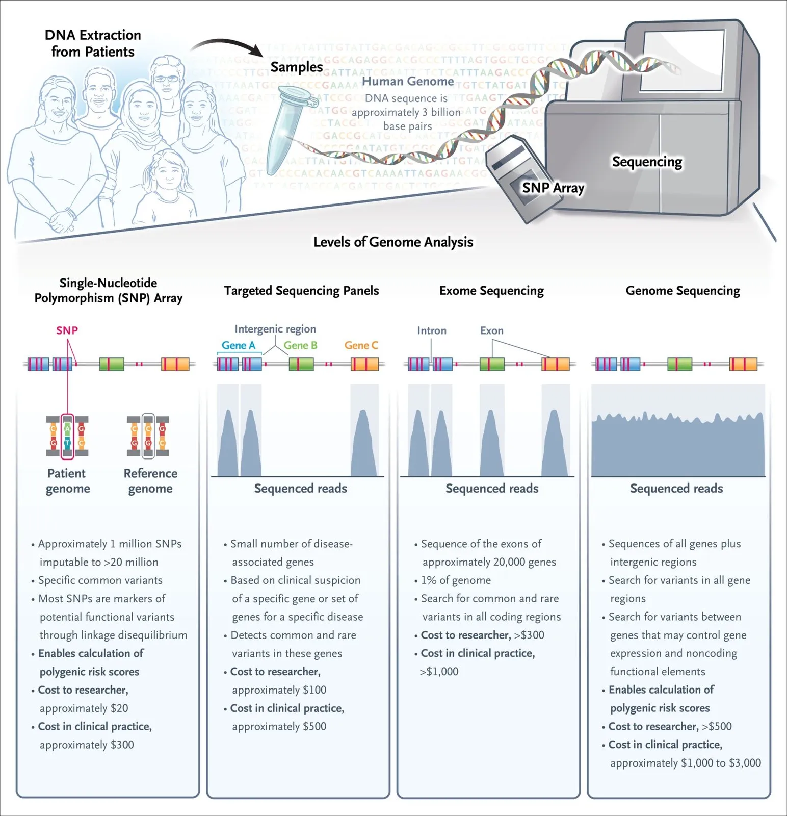 NEJM 2026 Figure 1：人類基因體分析的四個層級。上半是從病人抽取 DNA、送入定序儀與 SNP 晶片的插畫；下半四欄依序比較 SNP 晶片、標靶定序套組、外顯子定序與全基因體定序，各自能偵測什麼、能不能計算多基因風險評分、研究與臨床的約略成本。