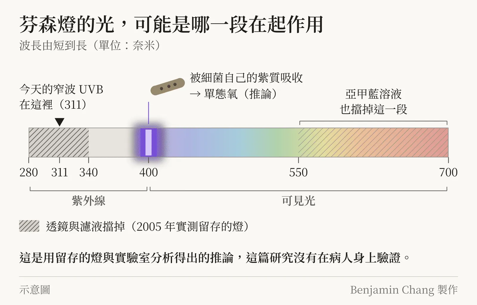 示意圖,標題「芬森燈的光,可能是哪一段在起作用」。一條由左往右的波長尺,從 280 奈米到 700 奈米,刻度標 280、311、340、400、550、700;尺下方標出左段「紫外線」、400 以右「可見光」,可見光由紫漸變到紅。280 到 340 奈米蓋上深灰色斜線,圖例寫「透鏡與濾液擋掉(2005 年實測留存的燈)」;311 奈米上方一個小三角形,標「今天的窄波 UVB 在這裡(311)」,落在斜線區裡。550 到 700 奈米蓋上較淡的斜線,標「亞甲藍溶液也擋掉這一段」。400 奈米附近亮起一道藍紫色,旁邊畫一顆小小的桿狀細菌,標「被細菌自己的紫質吸收 → 單態氧(推論)」。底部一行粗字:「這是用留存的燈與實驗室分析得出的推論,這篇研究沒有在病人身上驗證。」右下角註明示意圖,Benjamin Chang 製作。