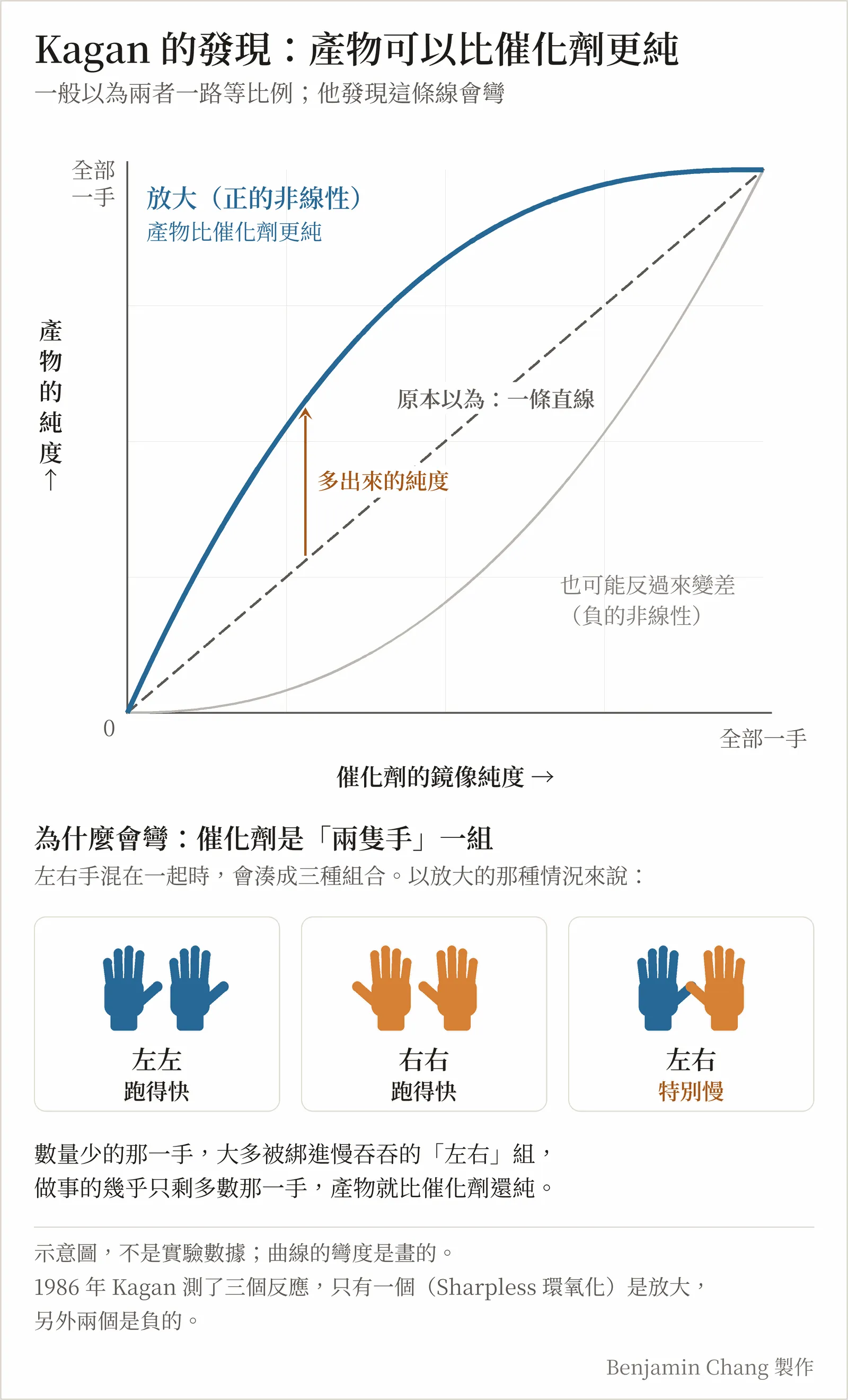 示意圖,標題「Kagan 的發現:產物可以比催化劑更純」,副標「一般以為兩者一路等比例;他發現這條線會彎」。橫軸「催化劑的鏡像純度」,縱軸「產物的純度」,都從 0 到全部一手。一條灰色虛線從原點到右上角,標「原本以為:一條直線」;一條往上拱的藍色粗曲線,標「放大(正的非線性),產物比催化劑更純」,曲線與虛線之間一支橘色箭頭標「多出來的純度」;一條往下彎的淡灰曲線,標「也可能反過來變差(負的非線性)」。下半部標題「為什麼會彎:催化劑是兩隻手一組」,三個並排的框:兩隻藍色手「左左,跑得快」、兩隻橘色手「右右,跑得快」、一藍一橘「左右,特別慢」。下面一行:數量少的那一手,大多被綁進慢吞吞的左右組,做事的幾乎只剩多數那一手,產物就比催化劑還純。底部小字:示意圖,不是實驗數據,曲線的彎度是畫的;1986 年 Kagan 測了三個反應,只有一個(Sharpless 環氧化)是放大,另外兩個是負的。右下角註明 Benjamin Chang 製作。