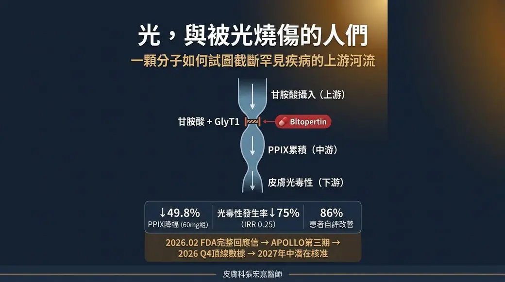 自製數據圖卡，深藍底，中間是甘胺酸攝入、PPIX 累積到皮膚光毒性的上中下游流程與藥物阻斷點，下方三格列出降幅與患者自評改善的數字，最下方是時程說明。