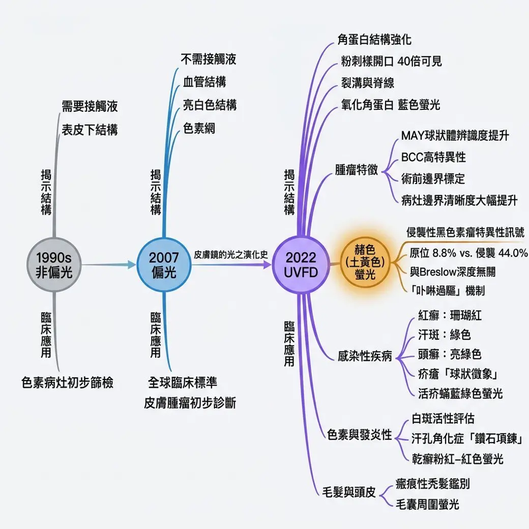 自製心智圖，依 1990 年代非偏光、2007 年偏光、2022 年紫外光螢光三個階段分支，分別列出各自能揭示的結構與臨床應用，右側細列腫瘤特徵、感染性疾病、色素與發炎性、毛髮與頭皮的表現。
