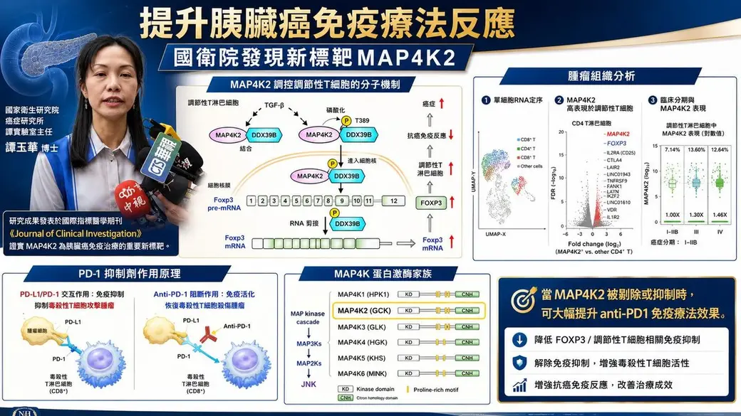 新聞資訊圖，左上是一位受訪的女性研究人員，旁邊是分子機制圖說明某個激酶如何調控調節性 T 細胞，右側是單細胞定序與臨床分期的圖表，下方是免疫檢查點抑制劑原理與激酶家族列表。