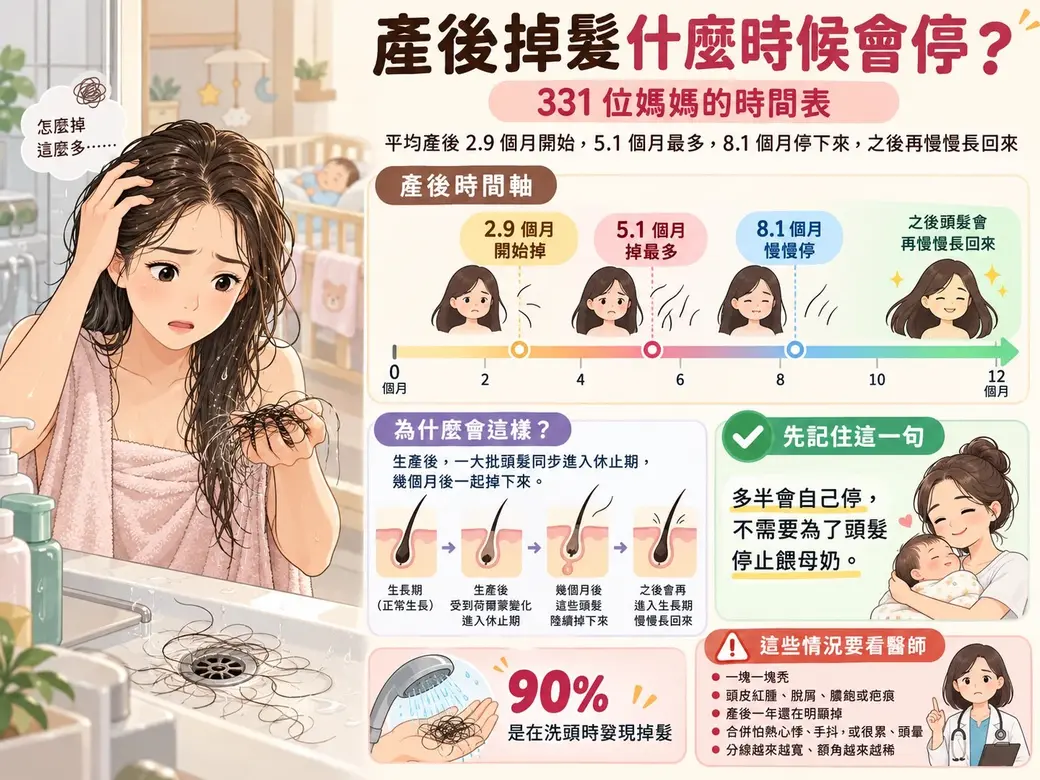 AI 生成的資訊圖封面：左邊一位剛洗完頭的媽媽看著手上一把頭髮；右邊是產後時間軸，平均 2.9 個月開始掉、5.1 個月最多、8.1 個月慢慢停，之後再長回來；下方有毛囊進入休止期的示意、「多半會自己停，不需要為了頭髮停止餵母奶」，以及要看醫師的情況。