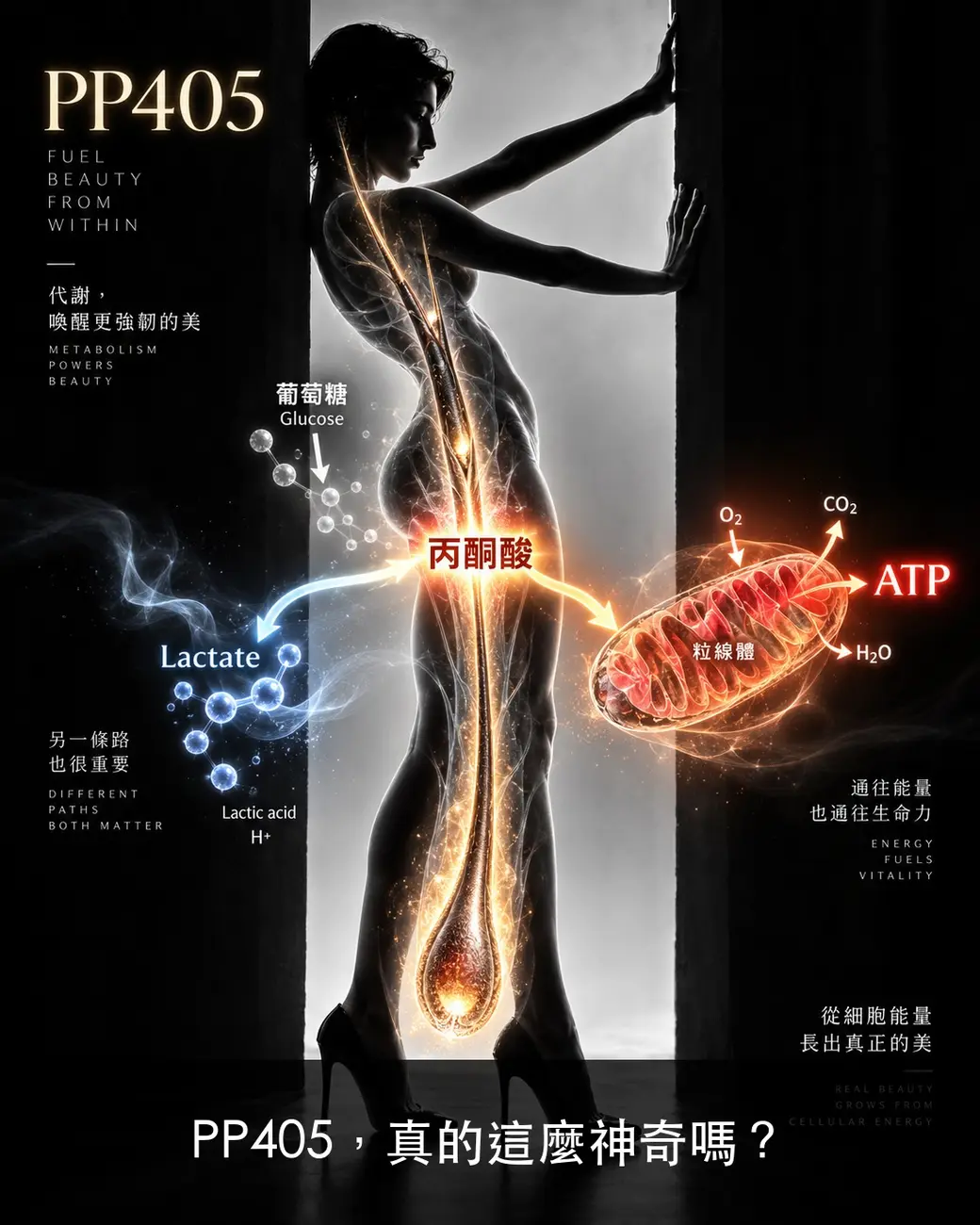 作者以 AI 生成的示意插畫，黑白剪影的人形站在門框中央，體內以發光線條描繪葡萄糖經丙酮酸分岔通向乳酸與粒線體兩條代謝路徑，畫面標題為「PP405」與英文標語「FUEL BEAUTY FROM WITHIN」，下方疊加中文提問「PP405，真的這麼神奇嗎？」。