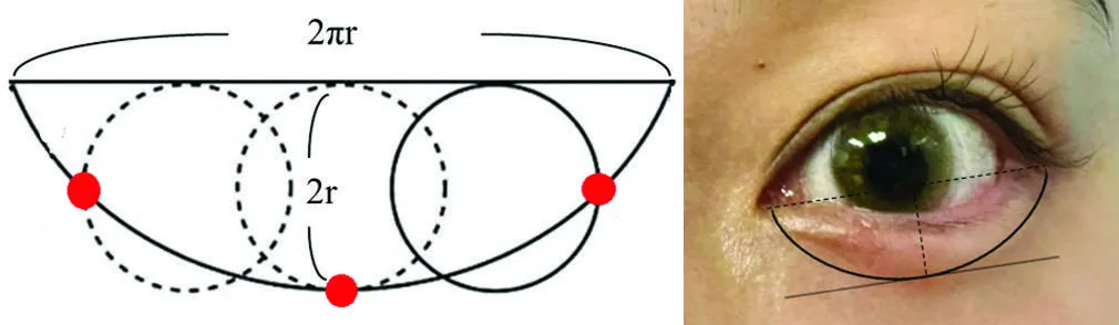 原文的 Figure 5：左邊是擺線的幾何定義，一個半徑 r 的圓沿直線滾動一圈，圓周上某一點畫出的軌跡，全長 2πr；右邊把這條曲線疊在一隻眼睛的臥蠶輪廓上