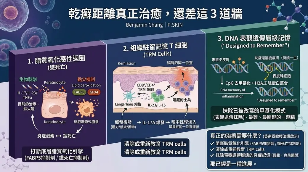 自製圖卡，深藍底分成三欄，分別說明脂質氧化惡性迴圈、組織駐留記憶 T 細胞與 DNA 表觀遺傳記憶三道障礙，右下角條列真正的治癒需要什麼。