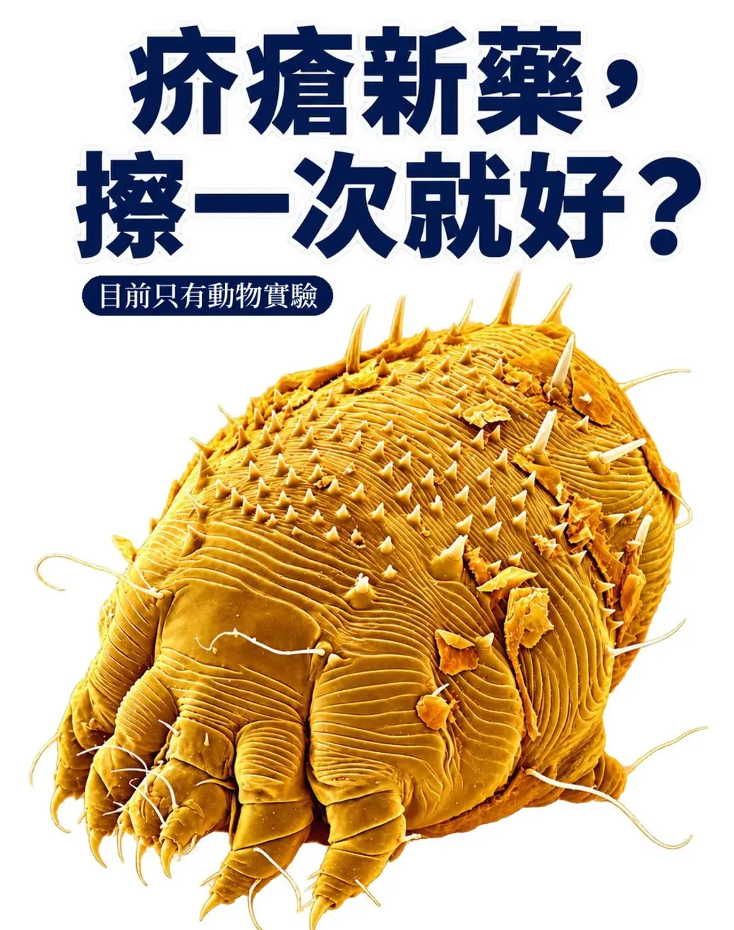 院長自製封面：大字「疥瘡新藥，擦一次就好？」，標題下方一行小字「目前只有動物實驗」，再下方是放大的疥蟲立體圖