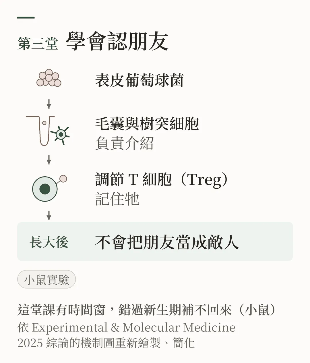 第三堂：學會認朋友。表皮葡萄球菌經毛囊由樹突細胞介紹給調節 T 細胞（Treg），長大後不會把朋友當成敵人；圖下方寫著這堂課有時間窗，錯過新生期補不回來，並註明依 2025 年綜論的機制圖重繪。