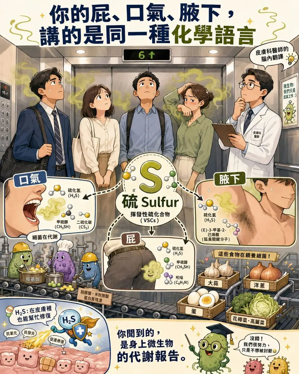 插畫圖卡，電梯裡五個人各自散發氣味，中央是一個大大的硫元素符號，往三個方向連到口氣、屁與腋下的分子結構，下方畫著擬人化的細菌與大蒜、洋蔥等食物。