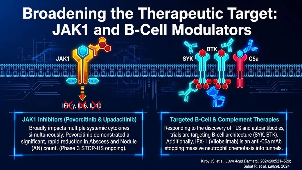 自製圖卡，深藍底，上方寫著 Broadening the Therapeutic Target: JAK1 and B-Cell Modulators，中間是細胞膜上 JAK1 與 BTK、SYK、C5a 的作用位置示意，下方兩個方塊分別說明兩類藥物，最下方是文獻出處。